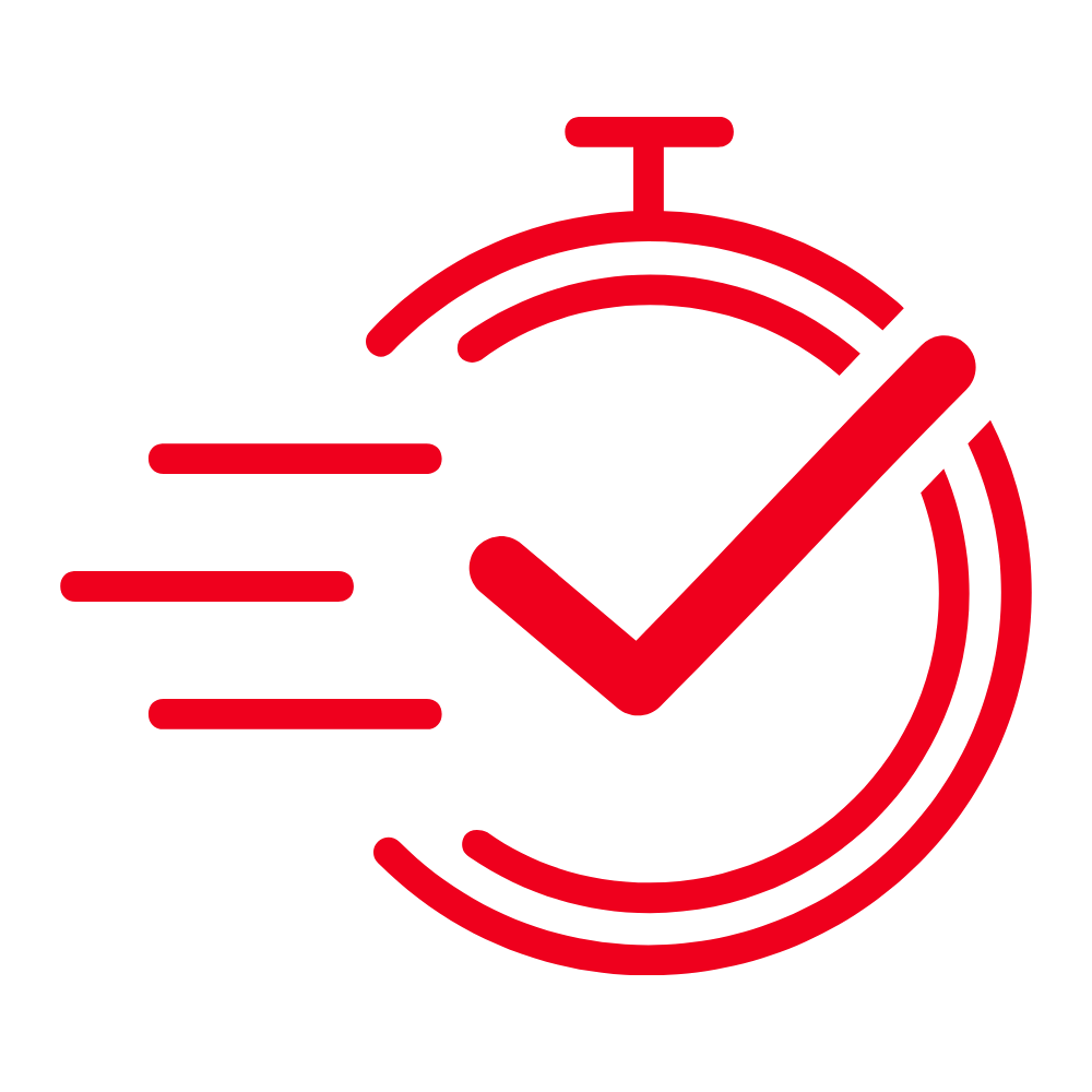 Speed icon